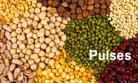 PULSES